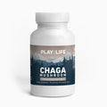 Chaga Mushroom - Play For Life Inc.